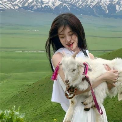 梦破红尘